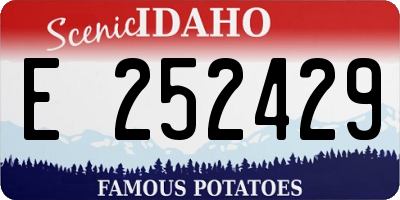 ID license plate E252429