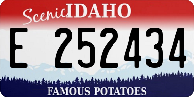 ID license plate E252434