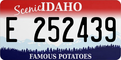 ID license plate E252439