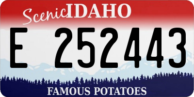 ID license plate E252443