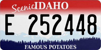 ID license plate E252448