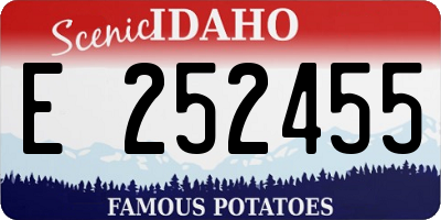 ID license plate E252455