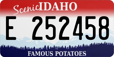 ID license plate E252458