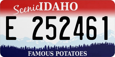 ID license plate E252461