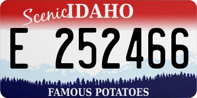 ID license plate E252466
