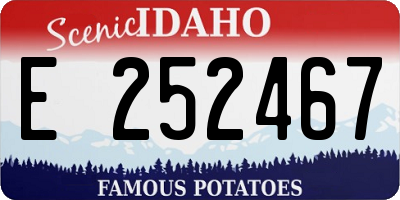 ID license plate E252467