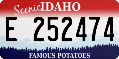 ID license plate E252474