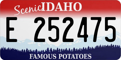 ID license plate E252475