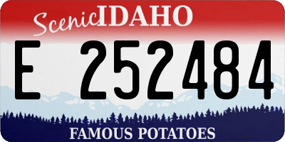 ID license plate E252484