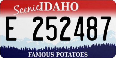 ID license plate E252487