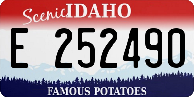 ID license plate E252490