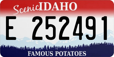 ID license plate E252491