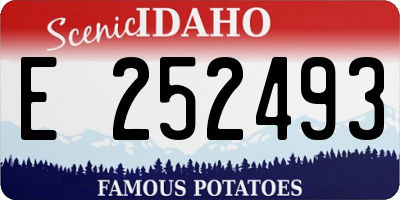 ID license plate E252493