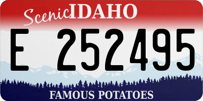ID license plate E252495