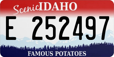 ID license plate E252497