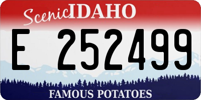 ID license plate E252499