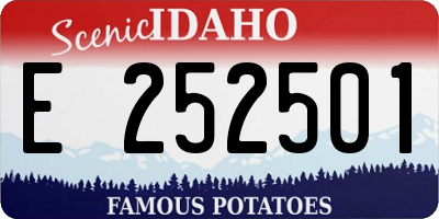 ID license plate E252501