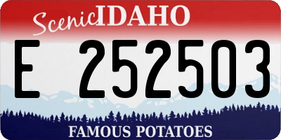 ID license plate E252503