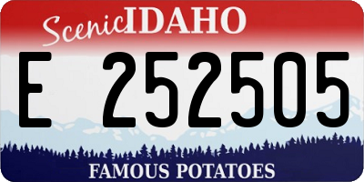 ID license plate E252505