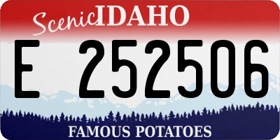 ID license plate E252506