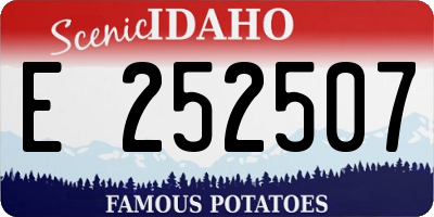 ID license plate E252507