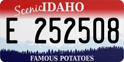 ID license plate E252508