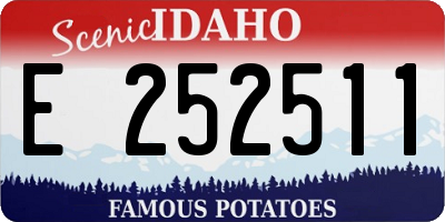 ID license plate E252511