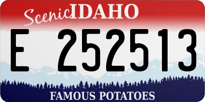 ID license plate E252513