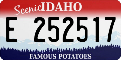 ID license plate E252517