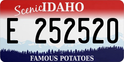 ID license plate E252520
