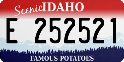 ID license plate E252521