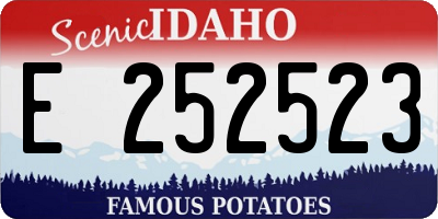 ID license plate E252523