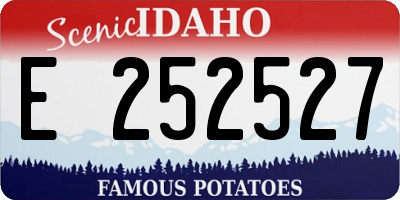 ID license plate E252527