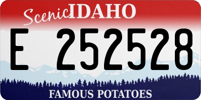 ID license plate E252528