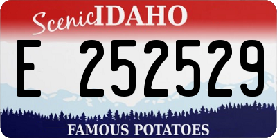 ID license plate E252529