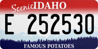 ID license plate E252530