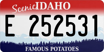 ID license plate E252531