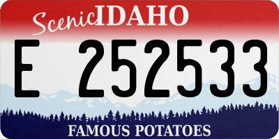 ID license plate E252533