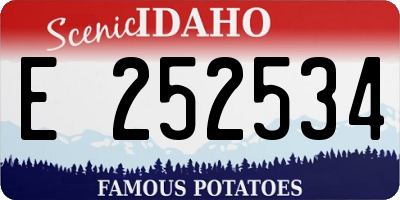 ID license plate E252534