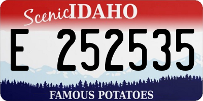 ID license plate E252535