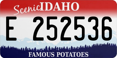 ID license plate E252536