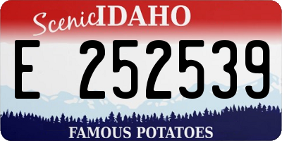 ID license plate E252539