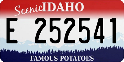 ID license plate E252541