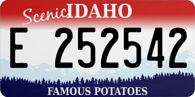 ID license plate E252542