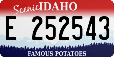 ID license plate E252543