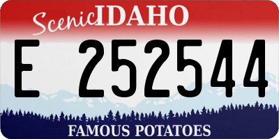 ID license plate E252544