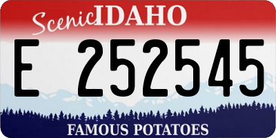 ID license plate E252545