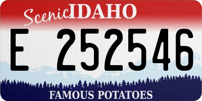 ID license plate E252546