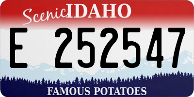 ID license plate E252547
