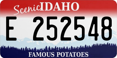 ID license plate E252548